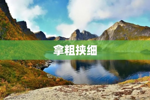 拿粗挟细:精细拿捏细节,实现卓越