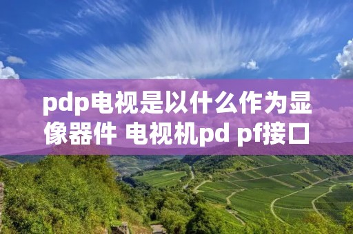 pdp电视是以什么作为显像器件 电视机pd pf接口是什么意思