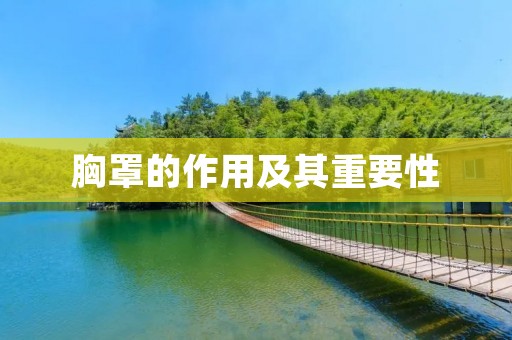胸罩的作用及其重要性