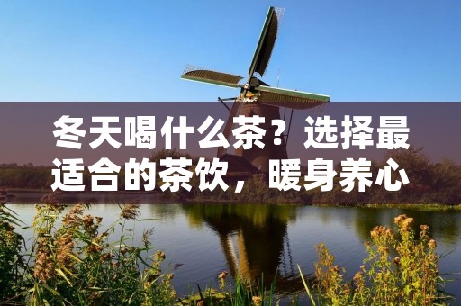 冬天喝什么茶?选择最适合的茶饮,暖身养心!