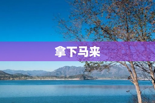 拿下马来:探索马来西亚的文化、美食与自然之美