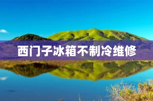 西门子冰箱不制冷维修：解决故障的有效方法