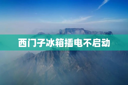 西门子冰箱插电不启动:详细排查与解决方法 西门子冰箱插电不启动:详细排查与解决方法