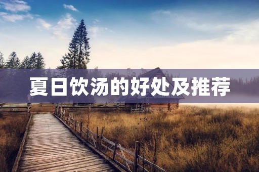 夏日饮汤的好处及推荐