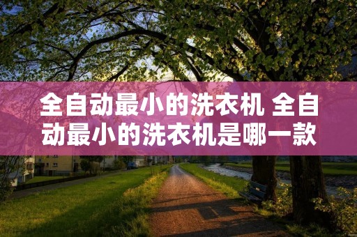 全自动最小的洗衣机 全自动最小的洗衣机是哪一款 全自动最小的洗衣机 全自动最小的洗衣机是哪一款