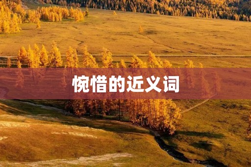 惋惜的近义词:遗憾、悲伤、惋惜、痛心、哀叹、悔恨、失望、痛惜、悲痛、惋惜不已。