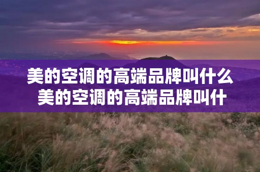 美的空调的高端品牌叫什么 美的空调的高端品牌叫什么名字来着 美的空调的高端品牌叫什么 美的空调的高端品牌叫什么名字来着