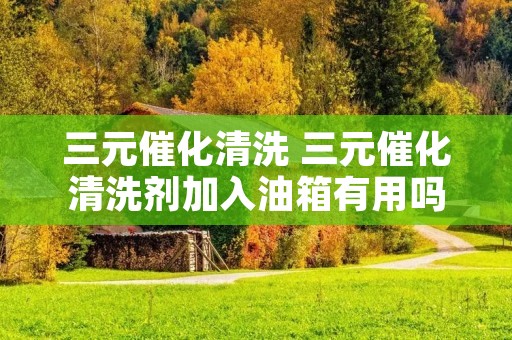 三元催化清洗 三元催化清洗剂加入油箱有用吗 三元催化清洗 三元催化清洗剂加入油箱有用吗