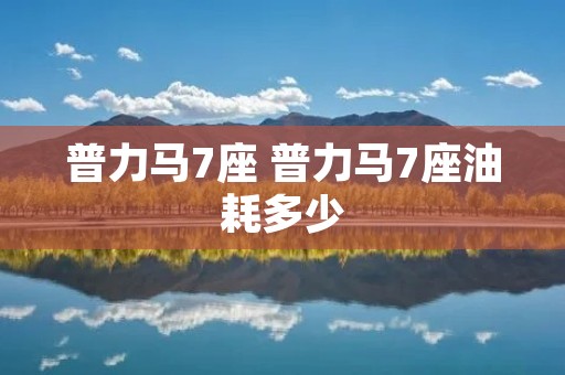 普力马7座 普力马7座油耗多少
