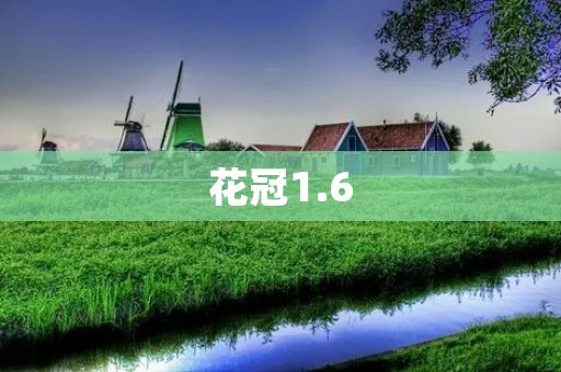 花冠1.6：呈现花朵的绚丽盛宴
