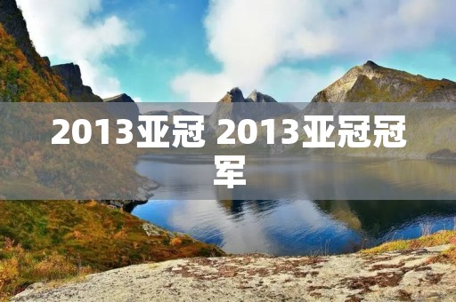 2013亚冠 2013亚冠冠军