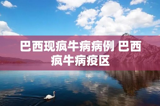 巴西现疯牛病病例 巴西疯牛病疫区