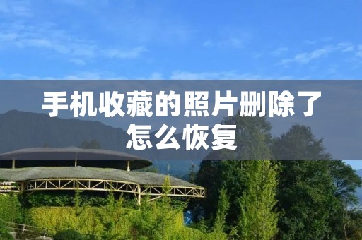 手机收藏的照片删除了怎么恢复