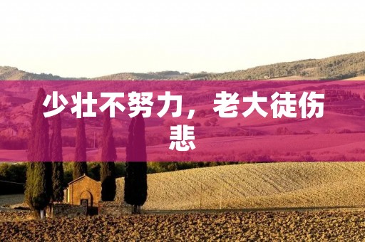 少壮不努力,老大徒伤悲