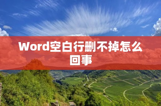 Word空白行删不掉怎么回事