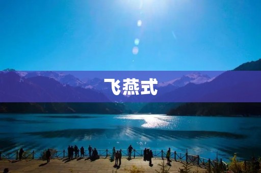 飞燕式:传统武术中的独特拳法技巧