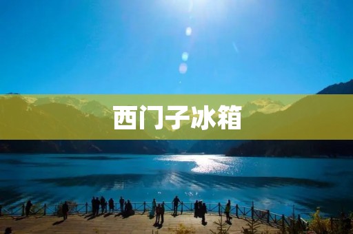 西门子冰箱:品质与创新的完美结合 西门子冰箱:品质与创新的完美结合
