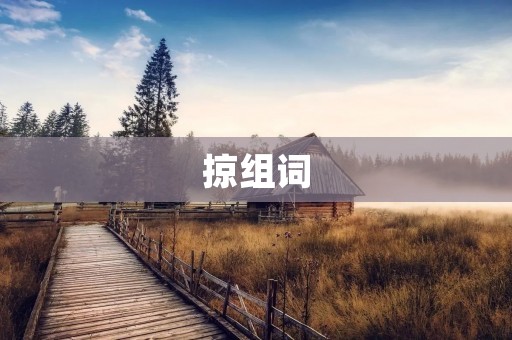 掠组词:揭秘掠组现象背后的秘密