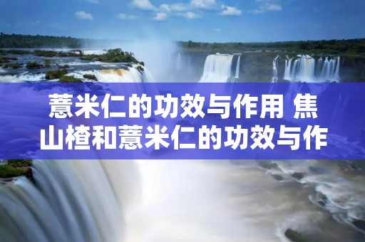 薏米仁的功效与作用 焦山楂和薏米仁的功效与作用