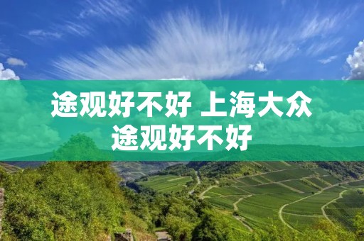 途观好不好 上海大众途观好不好 途观好不好 上海大众途观好不好