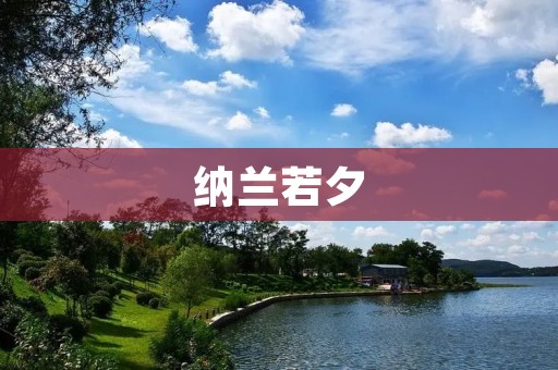 纳兰若夕:一个才华横溢的文学天才