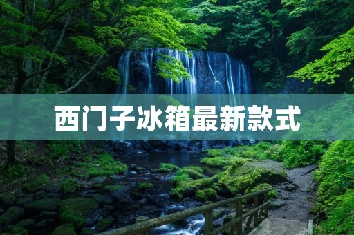 西门子冰箱最新款式：智能科技引领冷藏新时代