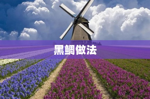 黑鲷做法:美味佳肴的制作步骤 黑鲷做法:美味佳肴的制作步骤