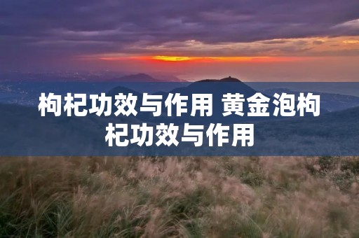 枸杞功效与作用 黄金泡枸杞功效与作用