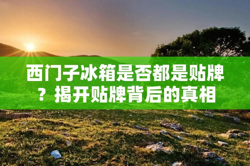 西门子冰箱是否都是贴牌?揭开贴牌背后的真相 西门子冰箱是否都是贴牌?揭开贴牌背后的真相
