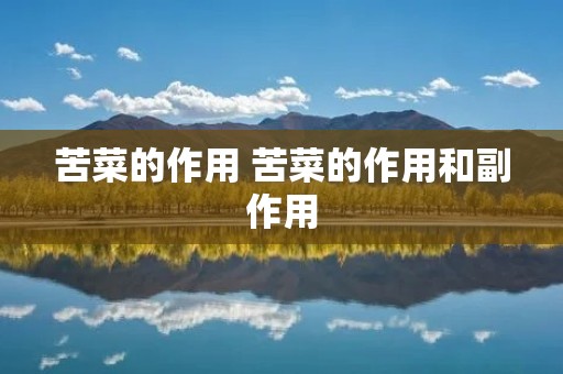 苦菜的作用 苦菜的作用和副作用