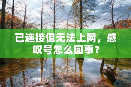 已连接但无法上网,感叹号怎么回事?