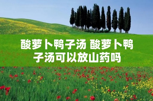 酸萝卜鸭子汤 酸萝卜鸭子汤可以放山药吗 酸萝卜鸭子汤 酸萝卜鸭子汤可以放山药吗