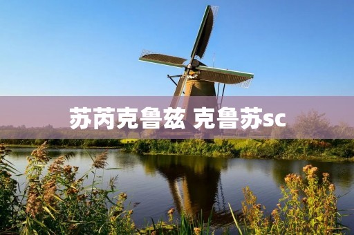 苏芮克鲁兹 克鲁苏sc