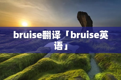 bruise翻译「bruise英语」