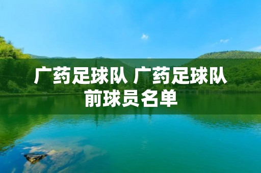 广药足球队 广药足球队前球员名单