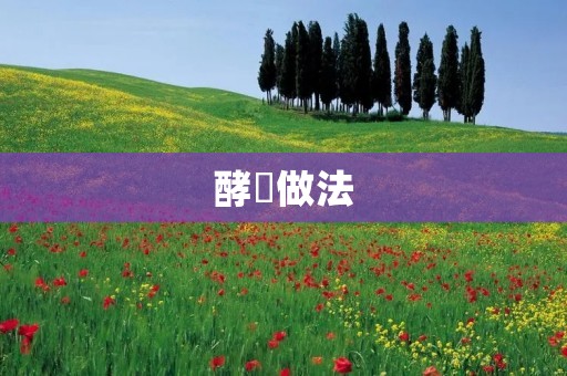 酵粿做法:传统美味的手工制作艺术 酵粿做法:传统美味的手工制作艺术