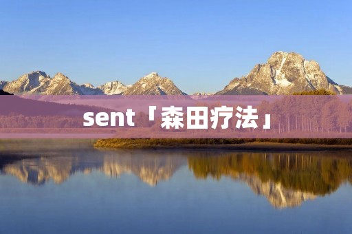sent「森田疗法」 sent「森田疗法」