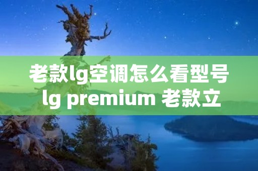 老款lg空调怎么看型号 lg premium 老款立式空调 老款lg空调怎么看型号 lg premium 老款立式空调
