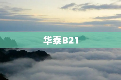 华泰B21:开创未来的智能投顾之路 华泰B21:开创未来的智能投顾之路