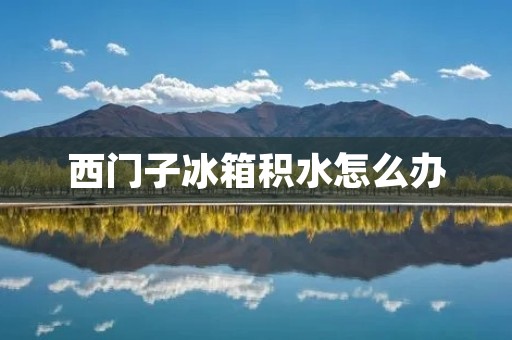 西门子冰箱积水怎么办 西门子冰箱积水怎么办