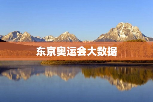 东京奥运会大数据:探索未来体育科技的新边界 东京奥运会大数据:探索未来体育科技的新边界