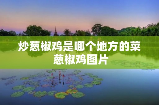 炒葱椒鸡是哪个地方的菜 葱椒鸡图片