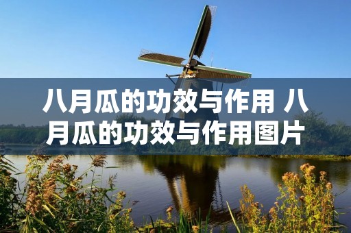 八月瓜的功效与作用 八月瓜的功效与作用图片 药用价值