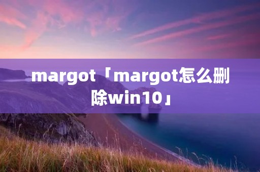 margot「margot怎么删除win10」