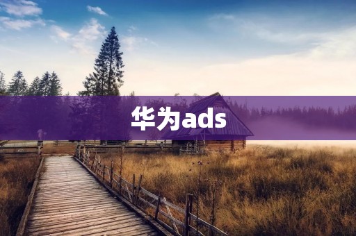 华为ads：打造全球领先的广告技术平台