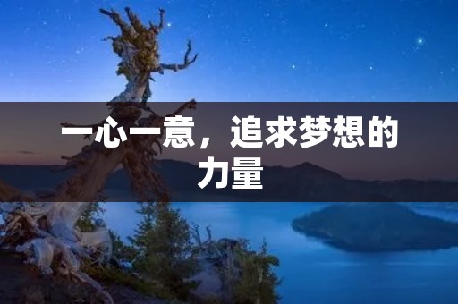 一心一意,追求梦想的力量