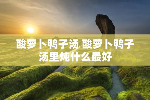 酸萝卜鸭子汤 酸萝卜鸭子汤里炖什么最好