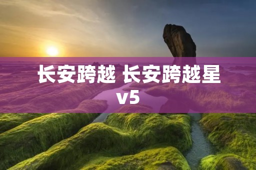 长安跨越 长安跨越星v5