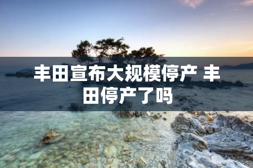 丰田宣布大规模停产 丰田停产了吗