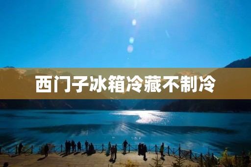 西门子冰箱冷藏不制冷：原因分析与解决方法